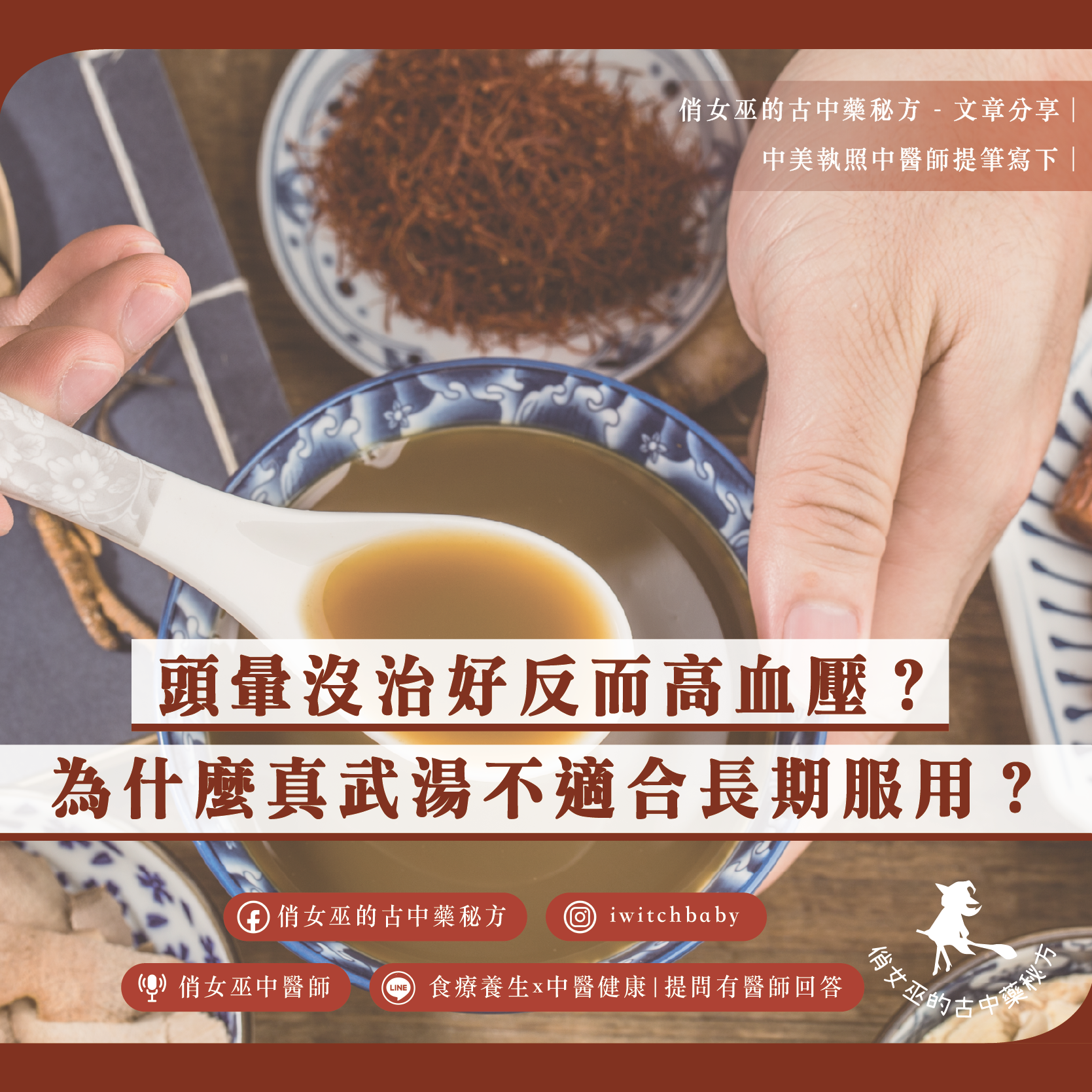 真武湯示意圖，呈現中藥湯品與藥材，說明頭暈反覆未改善、為何真武湯不適合長期服用，解析常見誤用與體質判斷重點